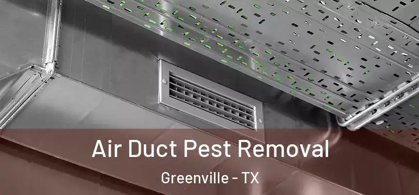  Air Duct Pest Removal Greenville - TX