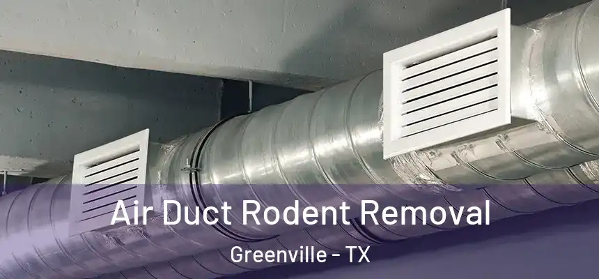  Air Duct Rodent Removal Greenville - TX