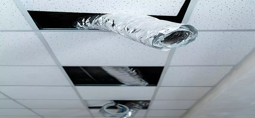 Our Air Duct Pet Hair Removal Services in Greenville, TX