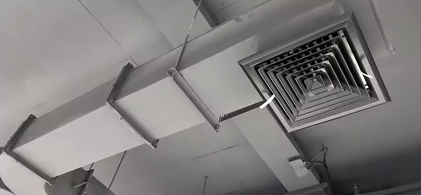 Restorative Allergy Relief Vent Cleaning – Coil, Blower & Housing Detail in Greenville