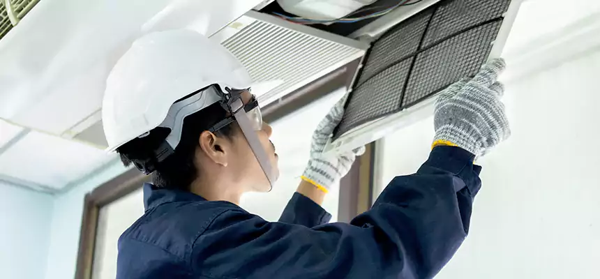 Our Mold & Mildew Removal from Air Ducts Services in Greenville, TX