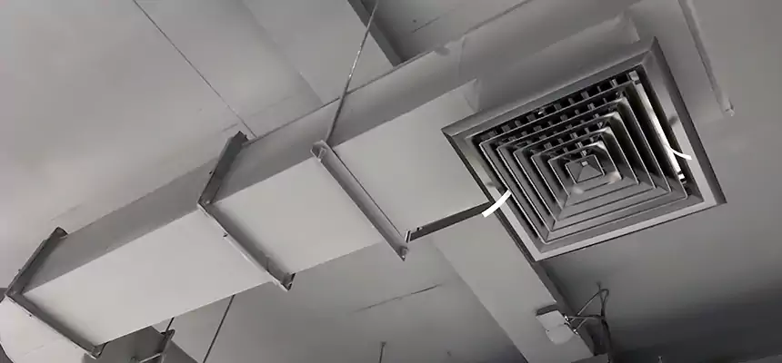 Our Pest Removal From Ducts Services in Greenville, TX