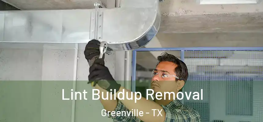  Lint Buildup Removal Greenville - TX