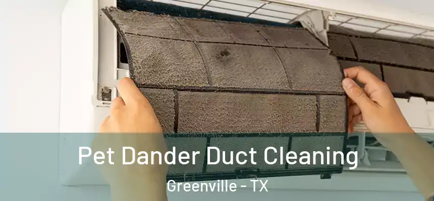  Pet Dander Duct Cleaning Greenville - TX