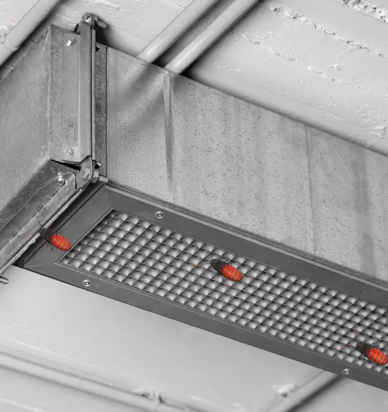 About Air Duct Cockroach Removal in Greenville, TX