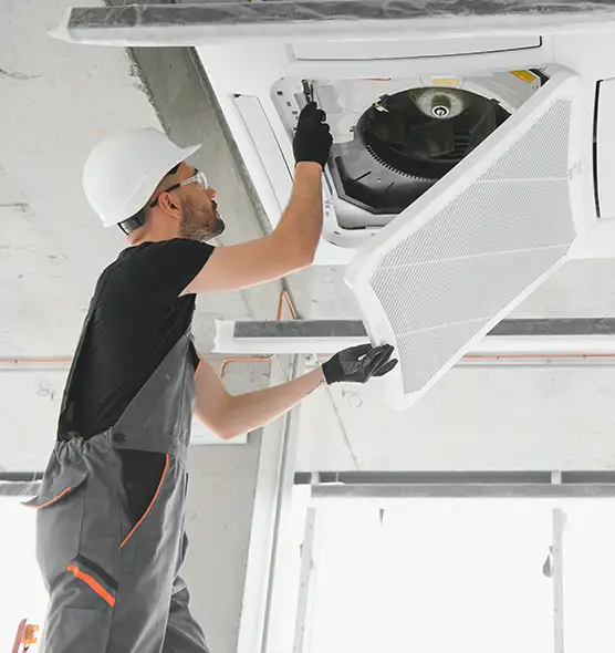 About Air Duct Rodent Removal in Greenville, TX