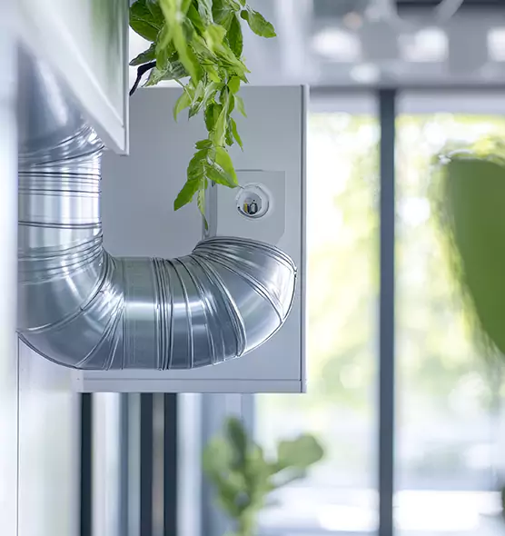 Professional Eco-Friendly Duct Cleaning Services in Greenville, TX