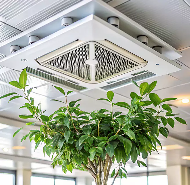 Why Homeowners & Businesses Trust Us in Greenville, TX?