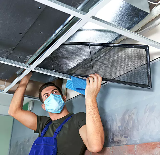 Why Homeowners & Businesses Trust Us in Greenville, TX?